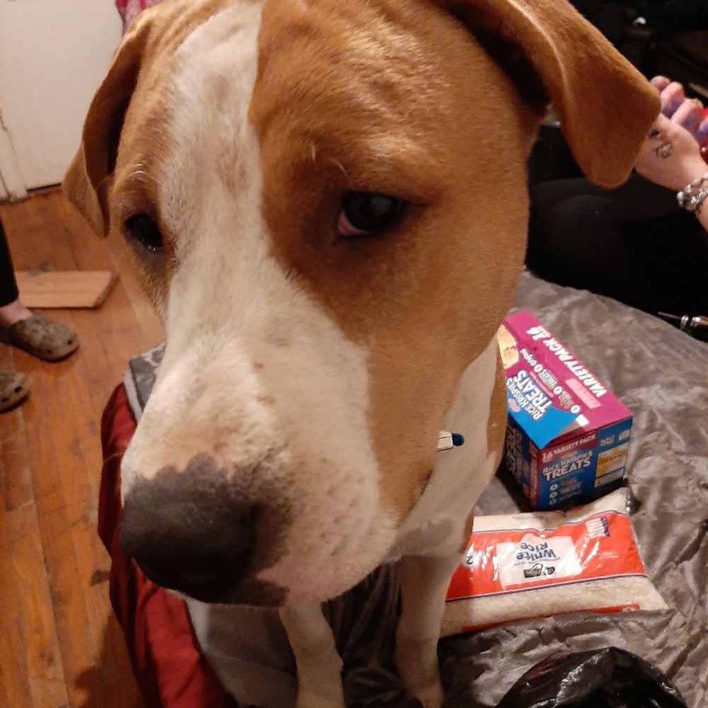 Meet your Posher, Lynette